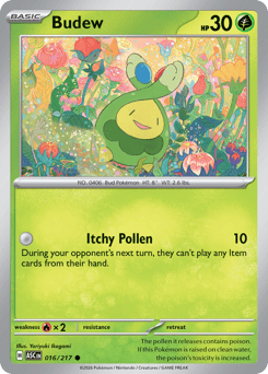 Budew • Ascended Heroes • Normal