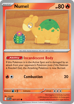 Numel - Reverse Holo - Energy Pattern – Nr. Pokedex 322