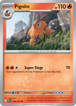 Pignite - Reverse Holo - Energy Pattern – Ascended Heroes – Reverse Holo