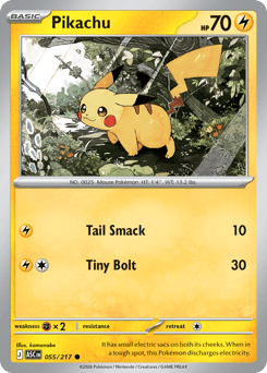 Pikachu - Reverse Holo - Ball Pattern – Ascended Heroes – Reverse Holo