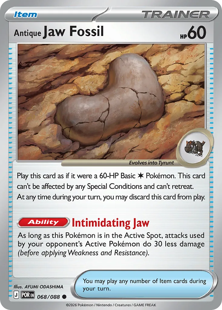Antique Jaw Fossil (POR 068) – Perfect Order – Normal