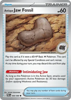 Antique Jaw Fossil • Perfect Order • Normal