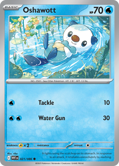 Oshawott • White Flare • Normal