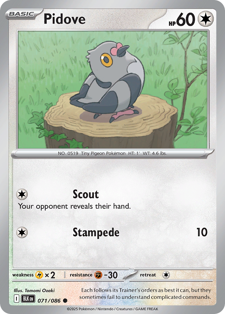 Pidove • Black Bolt • Normal